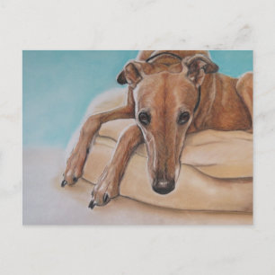 Harley Greyhound Dog Art Postcard
