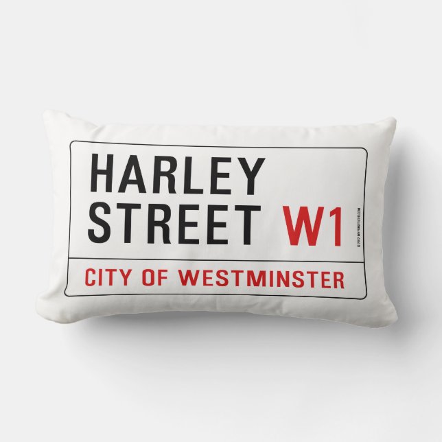 Harley Street Lumbar Cushion (Front)