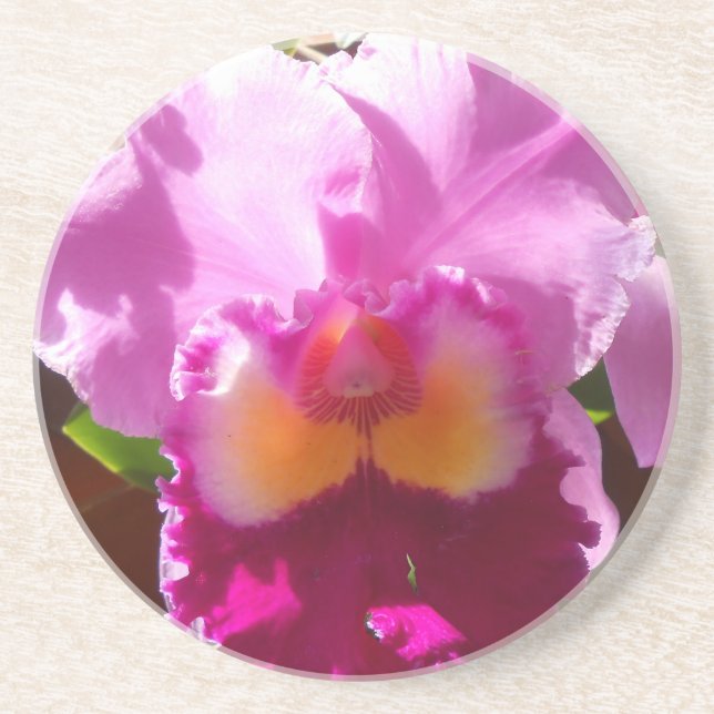 Harlinde Coaster (Front)