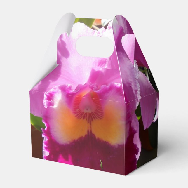 Harlinde Favour Box (Front Side)