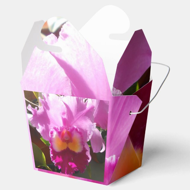 Harlinde Favour Box (Opened)