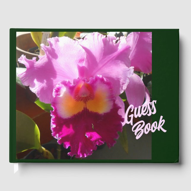 Harlinde Guest Book (Front)