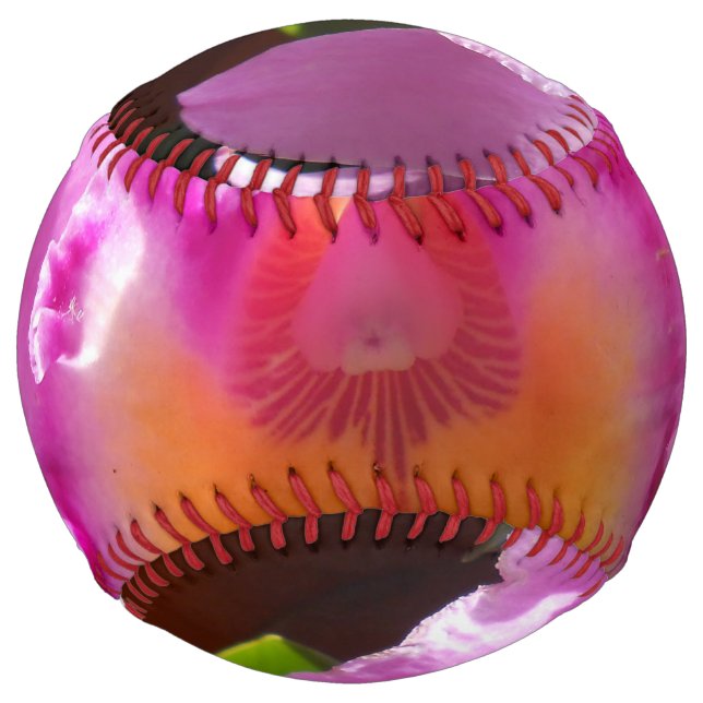 Harlinde Softball (Front)