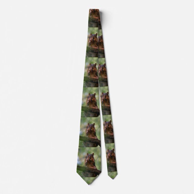 Harmonica Squirrel Tie (Front)