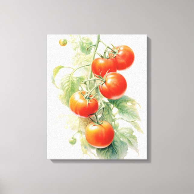 Harmonious Tomato Plant Watercolor Canvas Print (Front)