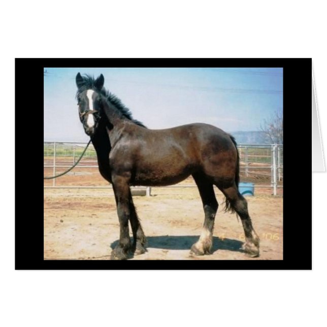 Harmony (Front Horizontal)