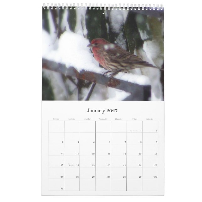 Harmony Calendar (Jan 2027)
