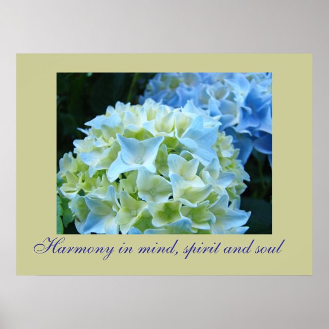Harmony in Mind Spirit Soul art prints Hydrangeas (Front)