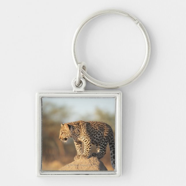 Harnas Wildlife Sanctuary, Namibia Key Ring (Front)