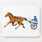 harness cart horse racing sulkies