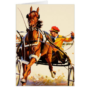 Harness Race