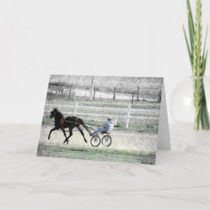 Harness Racing, Birthday Card