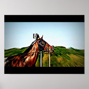 Harness Racing Poster