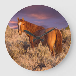 Harney County Wild horse stands alert Large Clock