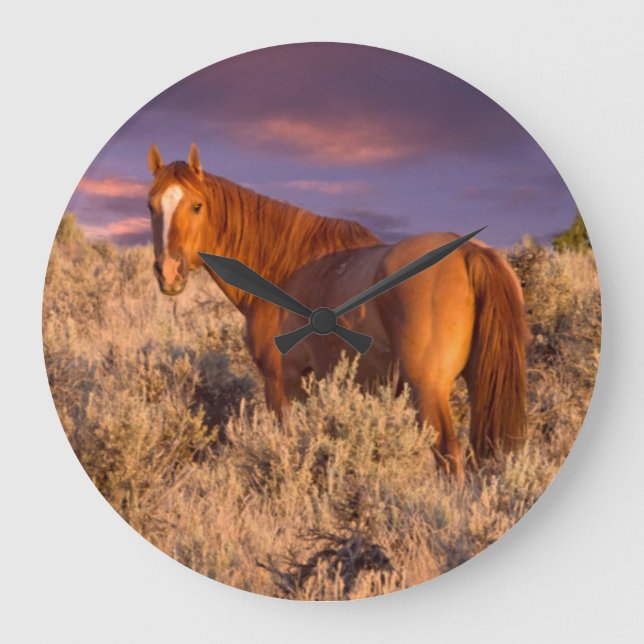 Harney County Wild horse stands alert Large Clock (Front)