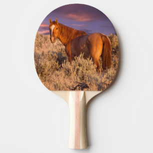Harney County Wild horse stands alert Ping Pong Paddle