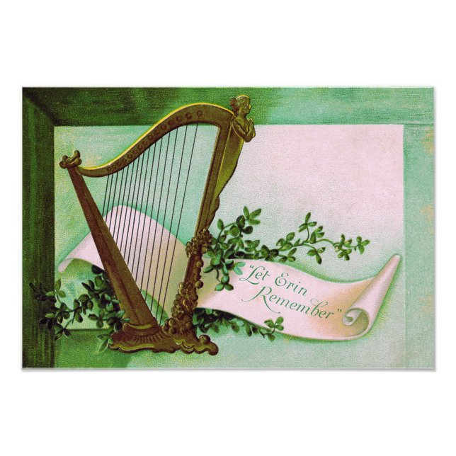 Harp of Erin Shamrock Green Photo Print (Front)