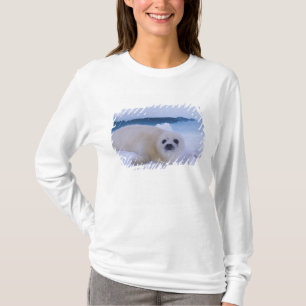Harp Seal North America, Canada, Quebec T-Shirt