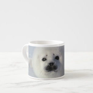 Harp seal Phoca groenlandica) A week-old harp Espresso Cup