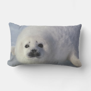 Harp seal Phoca groenlandica) A week-old harp Lumbar Cushion