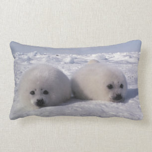 Harp seal (Phoca groenlandica) Harp seal pups Lumbar Cushion