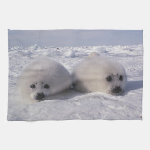 Harp seal (Phoca groenlandica) Harp seal pups Tea Towel