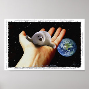 Harp Seal Protection EARTH DAY Art Poster (small)