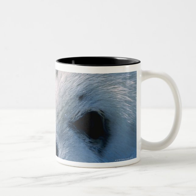 Harp seal pup 2 Two-Tone coffee mug (Right)