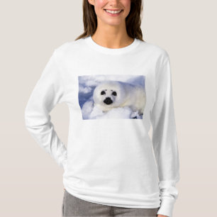 Harp seal pup ice Gulf of St. Lawrence, T-Shirt