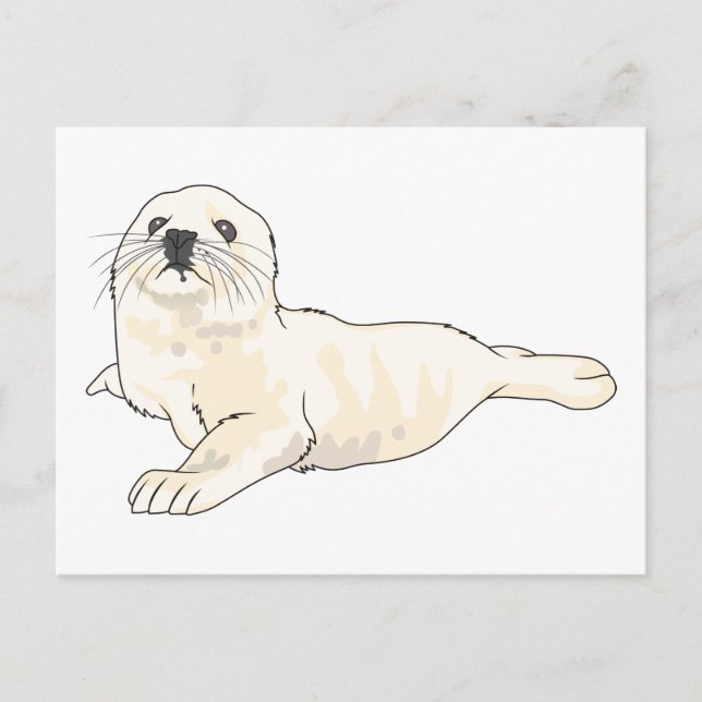 Harp Seal Pup Postcard (Front)