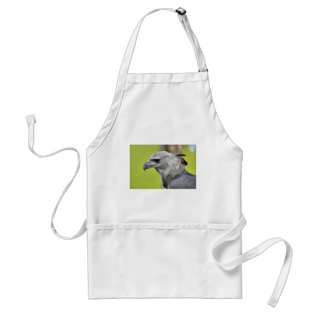 Harpy Eagle 2.JPG Standard Apron (Front)