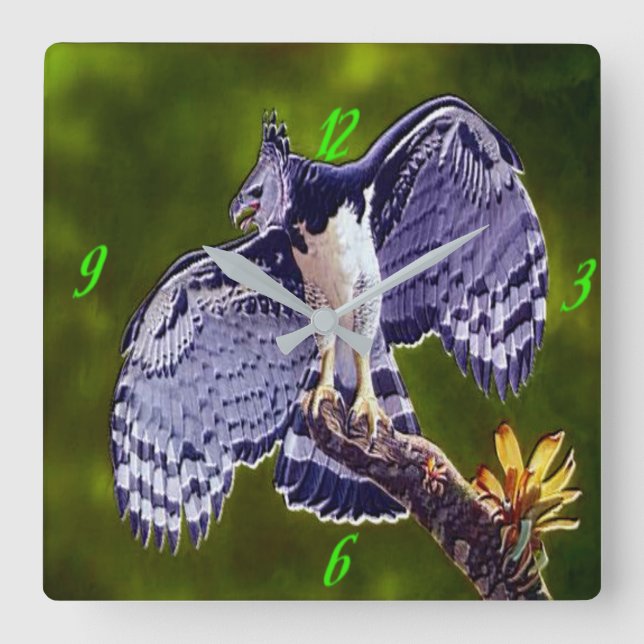 "Harpy Eagle" Acrylic Wall Clock (Front)
