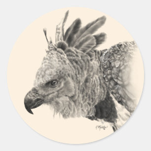 Harpy Eagle Drawing Classic Round Sticker