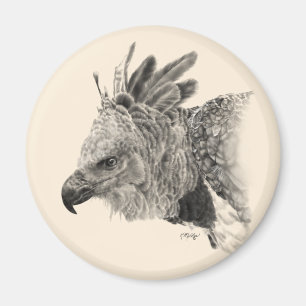 Harpy Eagle Drawing Magnet