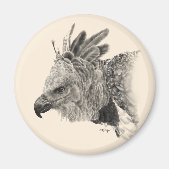 Harpy Eagle Drawing Magnet (Front)