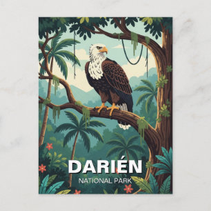 Harpy Eagle in Darien National Park Panama Postcard