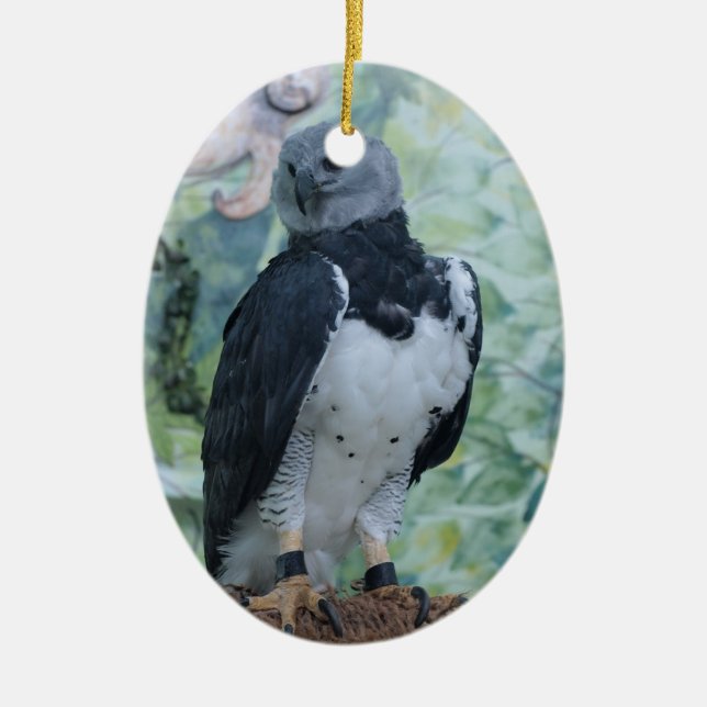 Harpy Eagle Standing Regal Ceramic Tree Decoration (Front)