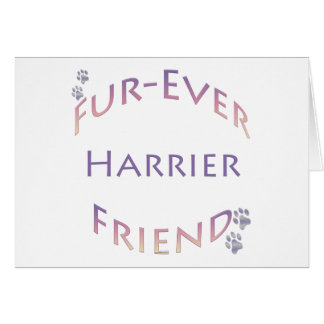 Harrier Furever