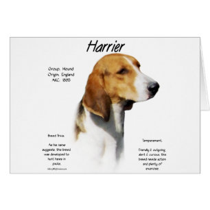 Harrier History Design