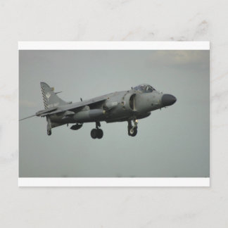 Harrier Postcard