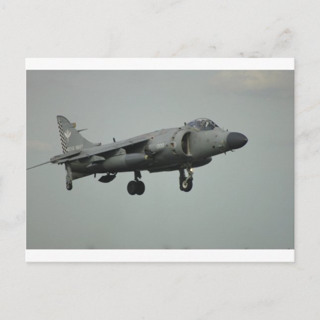 Harrier Postcard (Front)