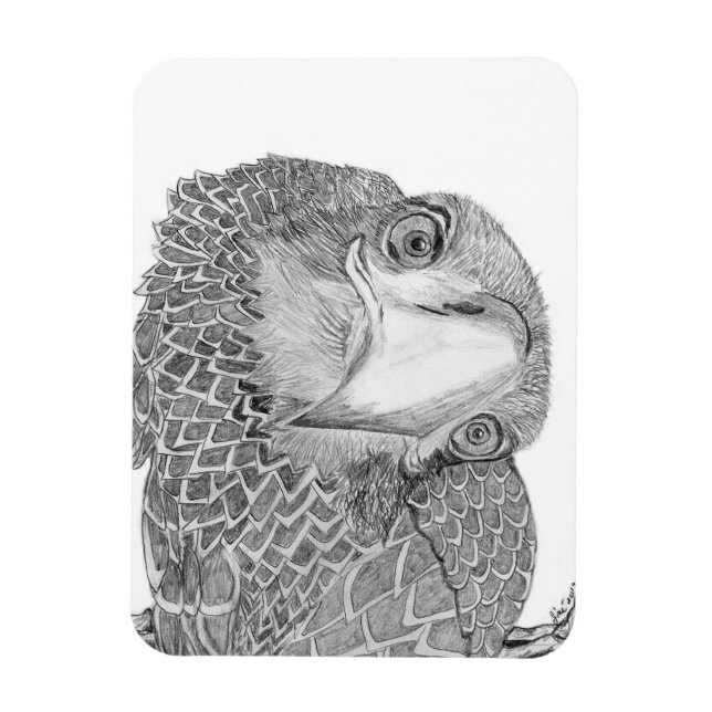 HARRIET OZZIE M HOME STORY OF FAMILY TREE E9 CAM MAGNET (Vertical)