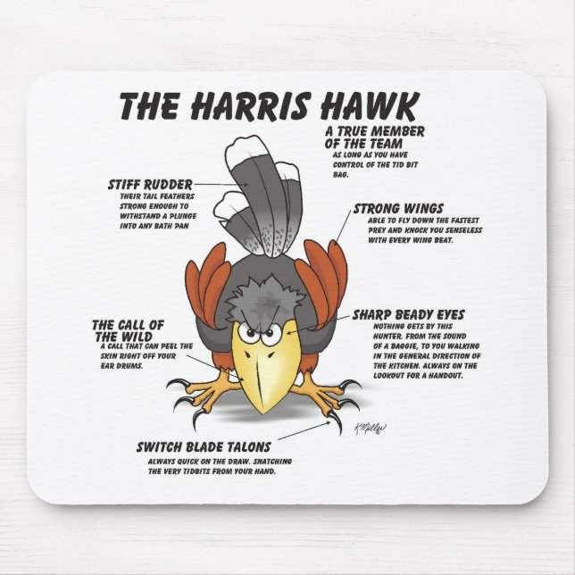 Harris Hawk Cartoon Mouse Pad (Front)