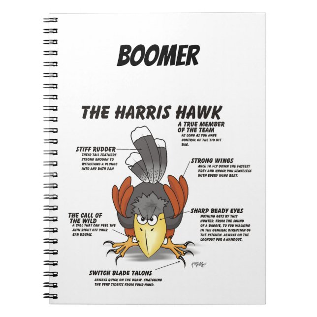 Harris Hawk Cartoon Notebook (Front)