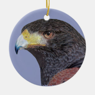 Harris Hawk - cp Ceramic Tree Decoration