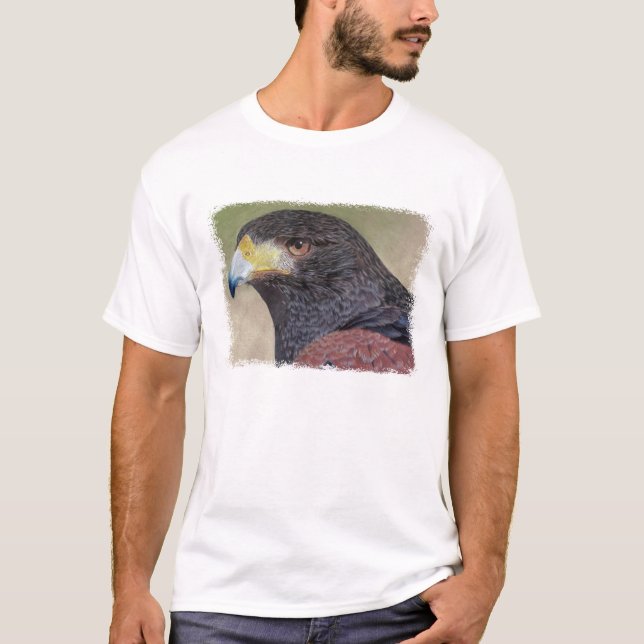 Harris Hawk-cp T-Shirt (Front)