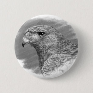Harris Hawk Drawing 6 Cm Round Badge
