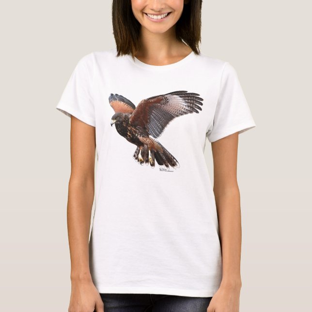 Harris Hawk in Flight T-Shirt (Front)