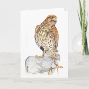 Harris Hawk on Glove birthday Card