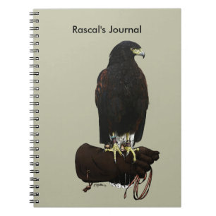 Harris Hawk on Glove Spiral Notebook
